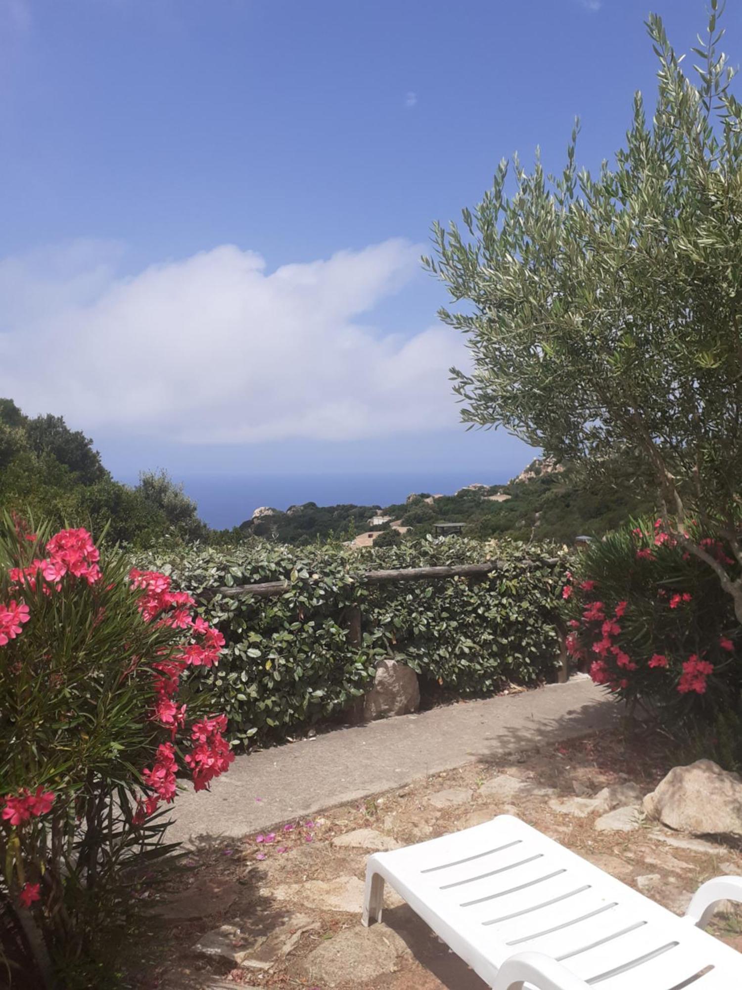 Villetta Rocchi - Costa Paradiso Bagian luar foto